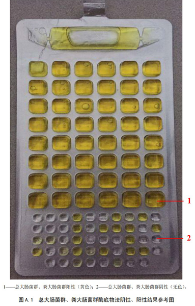 總大腸菌群、糞大腸菌群酶底物法陰性、陽(yáng)性結(jié)果參考圖